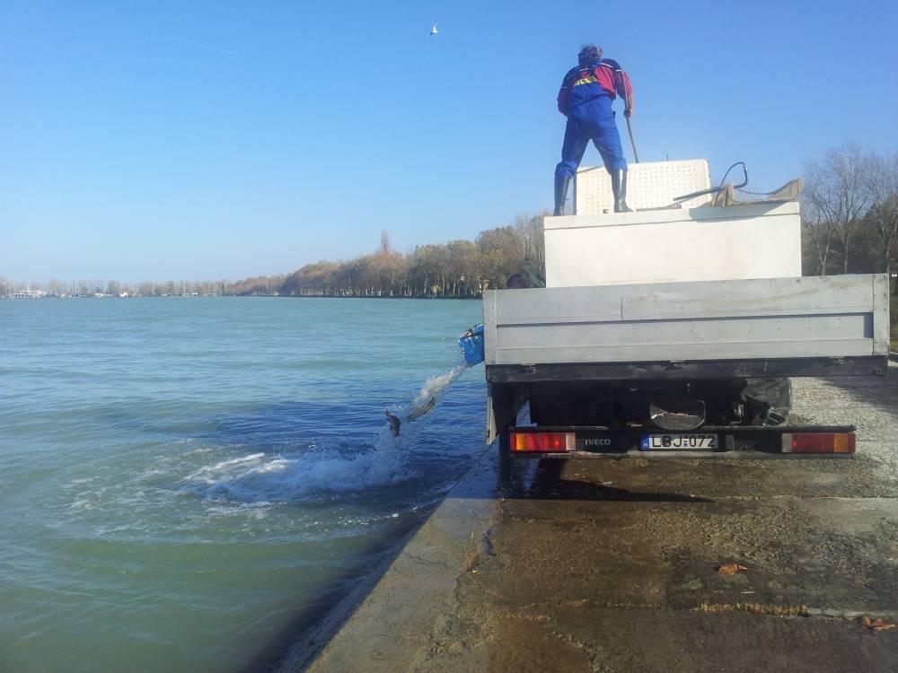 Megérkeztünk Balatonföldvárra