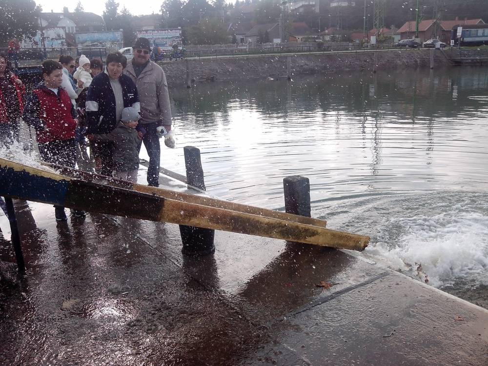 A harmadik telepítés zajlik Fonyódon