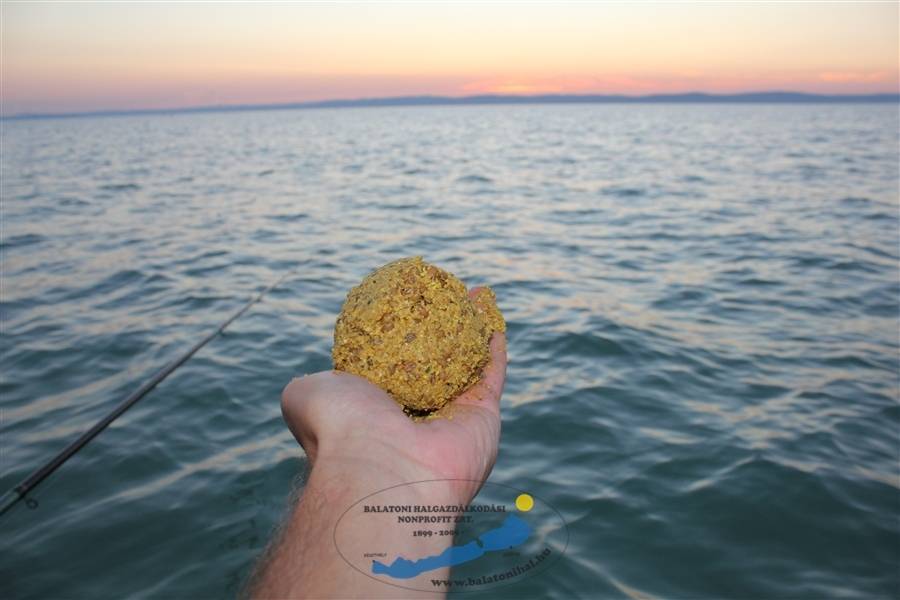 A halgazdálkodás foszfor mérlege a Balatonban és az etetőanyagok használatának hatása