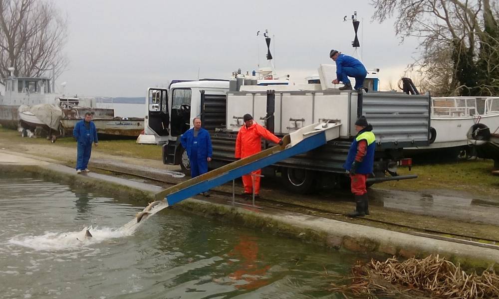 A mai második keszthelyi telepítés is lezajlott