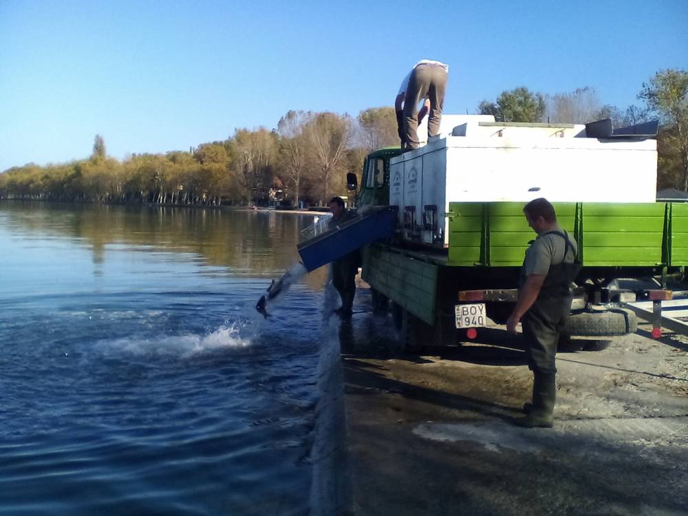 A mai ötödik, utolsó szállítmány telepítése zajlik