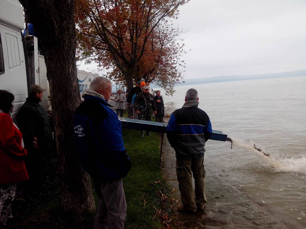 Megérkezett a kamion Balatonlellére 