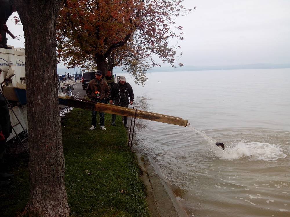 Megérkezett a negyedik szállítmány Balatonlellére 