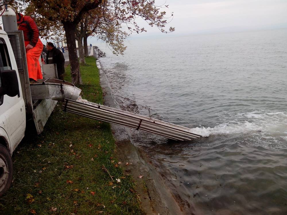 Megérkezett a kocsi Balatonlellére 