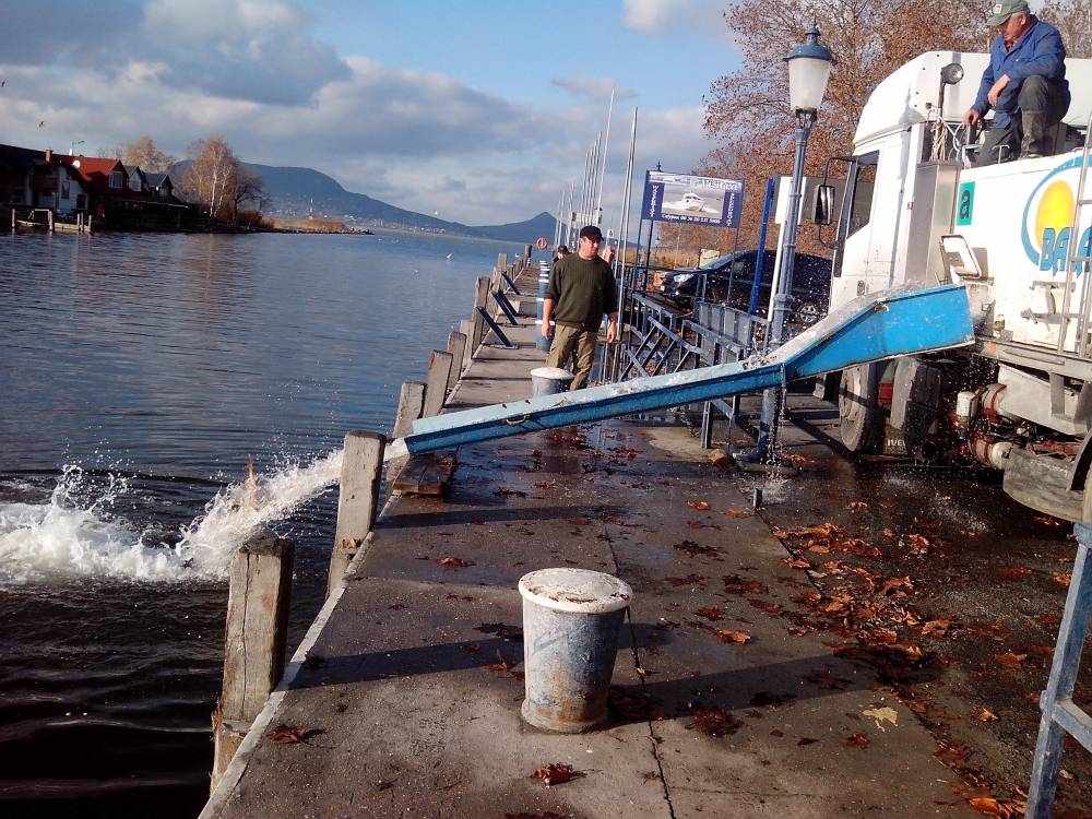 Haltelepítési beszámoló és előrejelzés