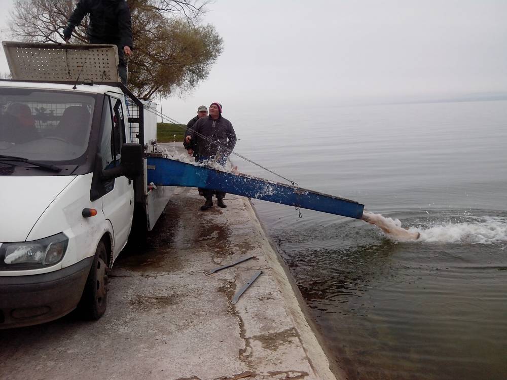 Megérkezett az első szállítmány Balatonföldvárra 