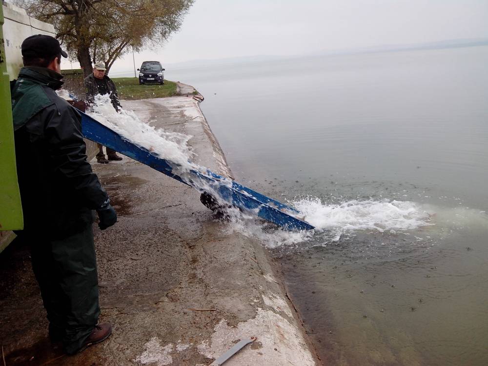 Megérkezett a hatodik kocsi Balatonföldvárra 