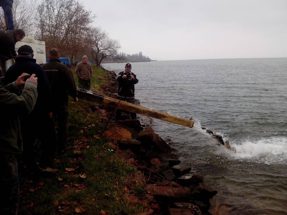 Megérkezett a szállítmány Balatonakaliba 