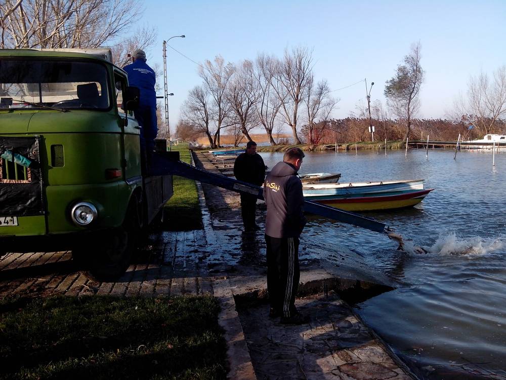 Megérkezett a kocsi Balatonberénybe 