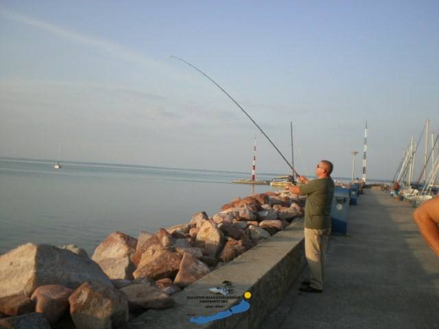 Horgászat a mólókon