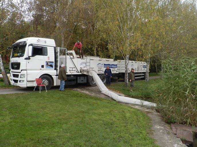 A balatonfűzfői haltelepítés sikeresen lezajlott