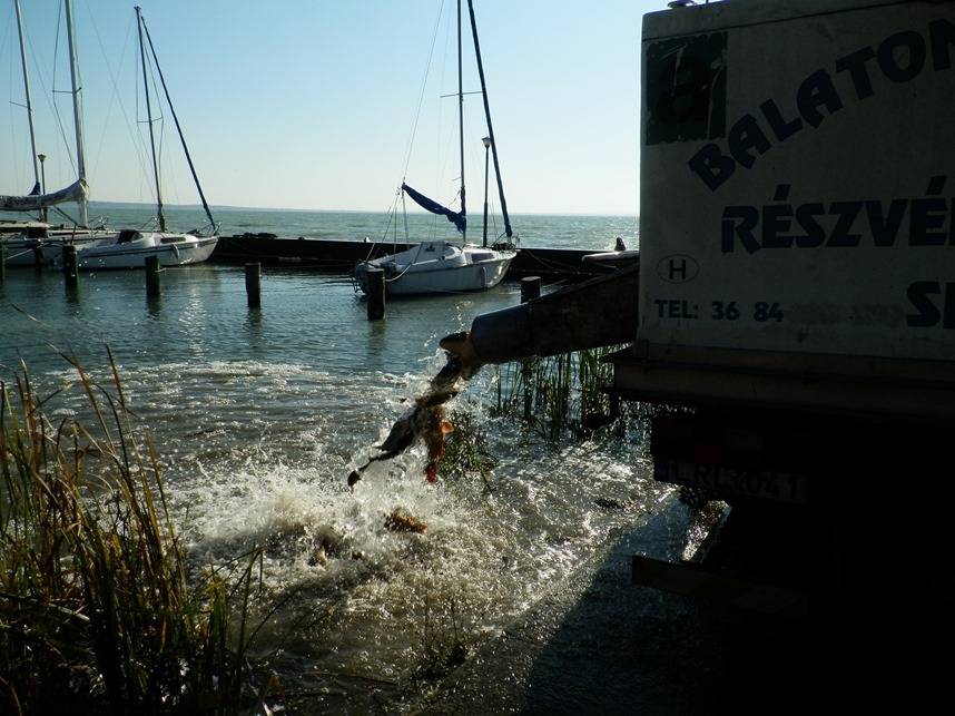 A balatonkenesei telepítés sikeresen lezajlott