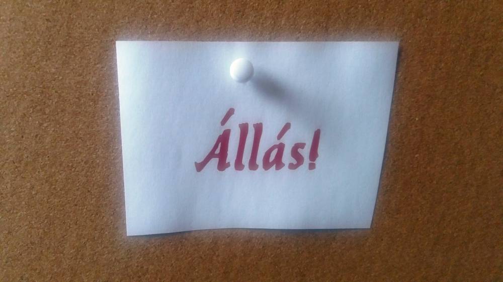 ÁLLÁSHIRDETÉS