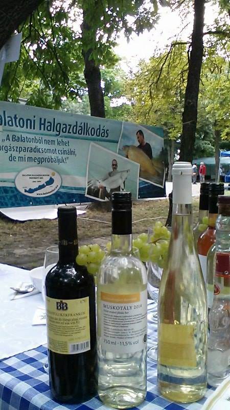 Gyomaendrődi kettős siker a halászléfőző versenyen