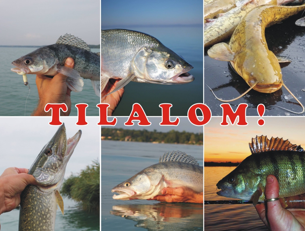 Elkezdődött az általános ragadozós tilalom!
