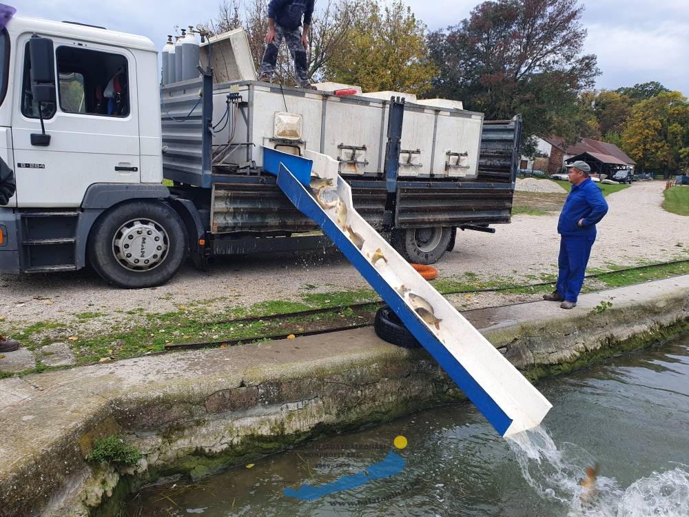 Pontytelepítési beszámoló és előrejelzés