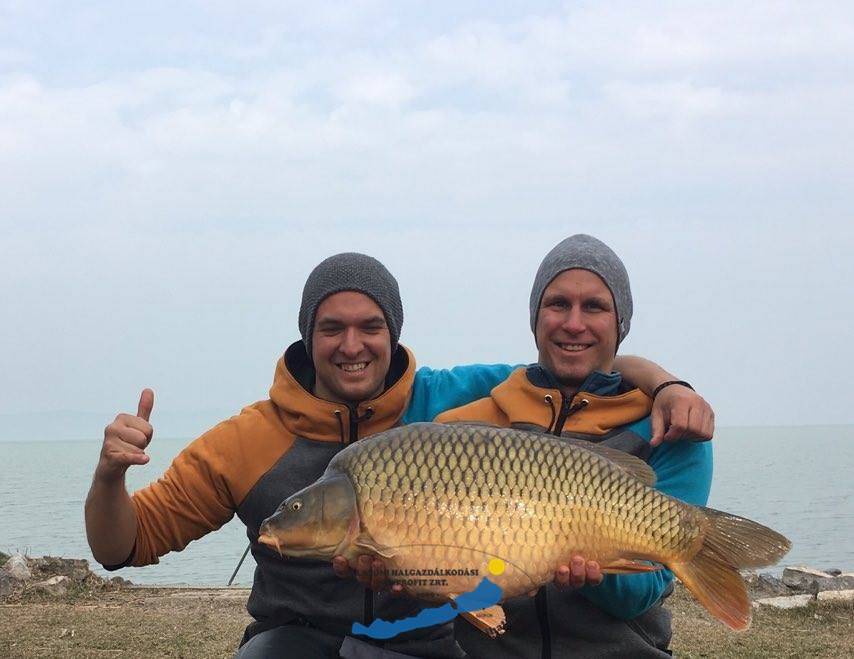 Márciusban is jönnek a 10 kg felettiek a Balatonból.