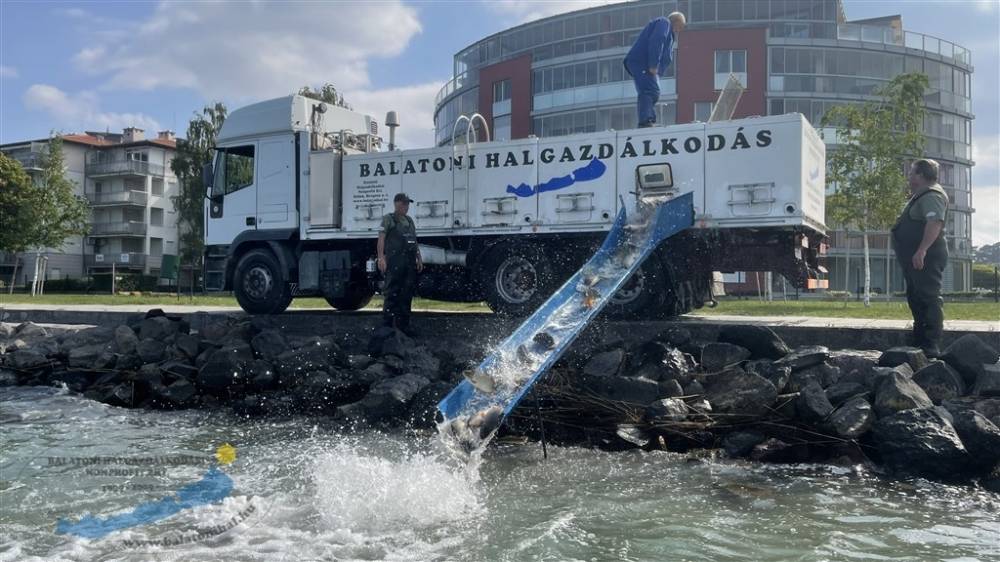 Haltelepítési beszámoló és előrejelzés