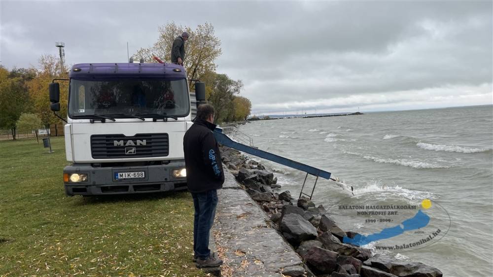 Haltelepítési beszámoló és előrejelzés