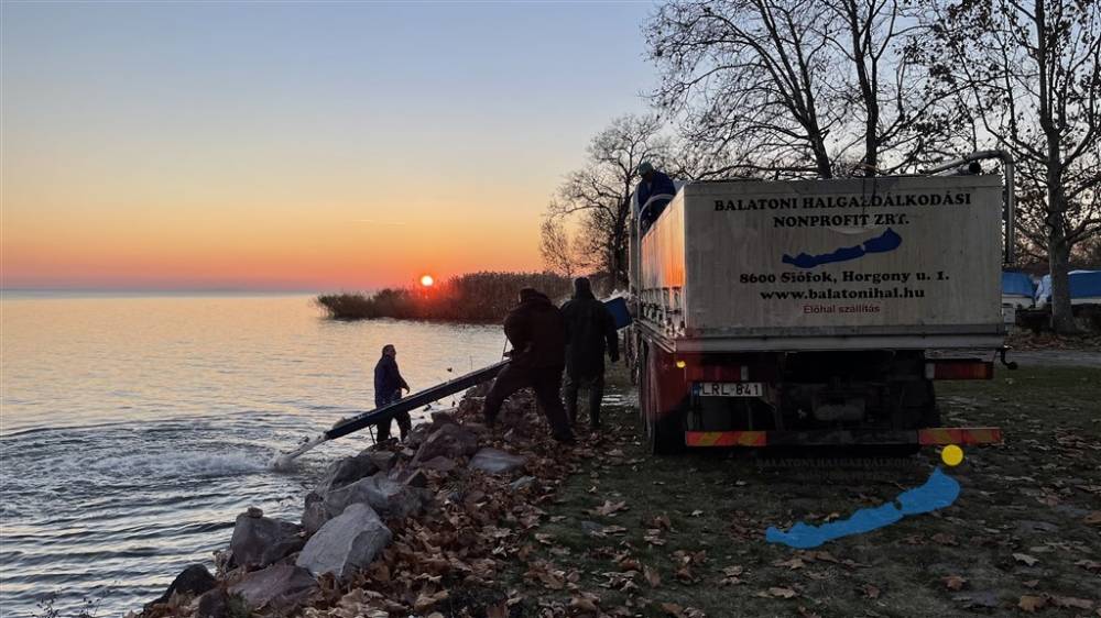 Haltelepítési beszámoló és előrejelzés