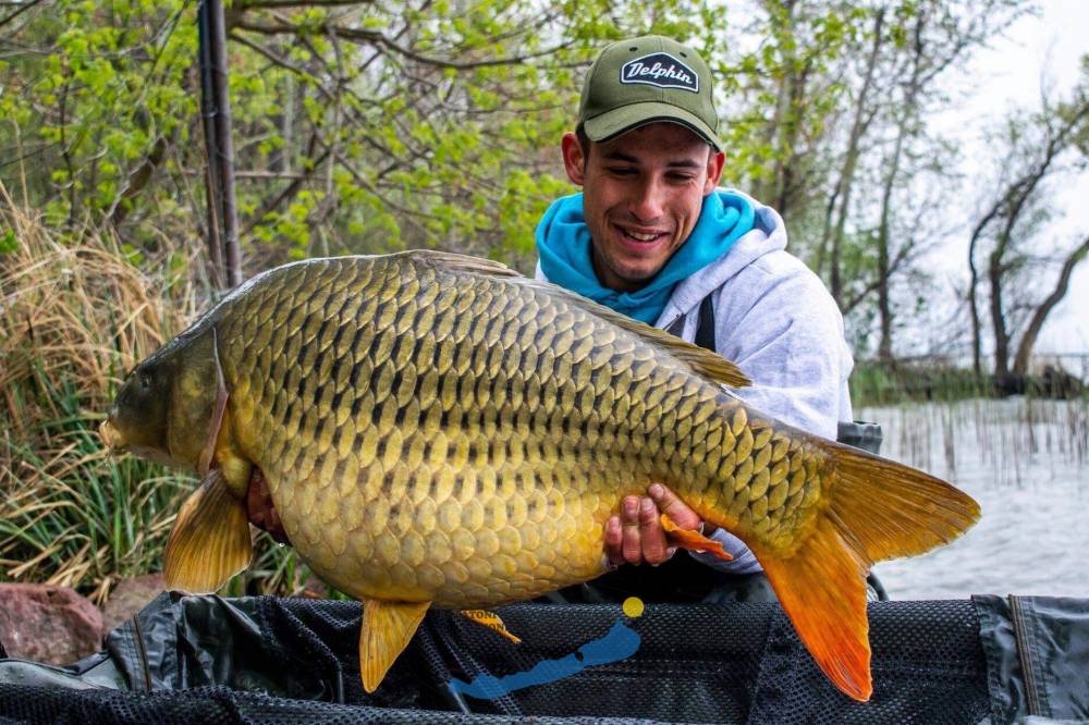 20 kg feletti pontyok bejelentése