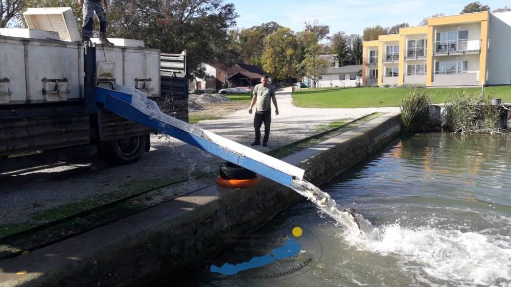 Pontytelepítési beszámoló és előrejelzés