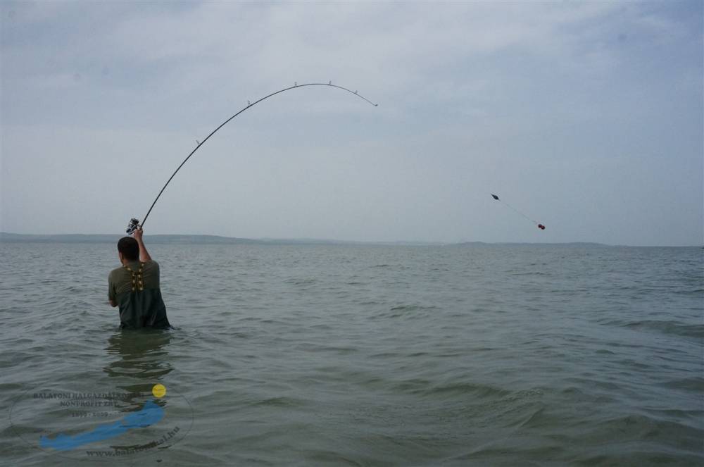 Jelentős horgászrendi enyhítés lép életbe a Balatonon