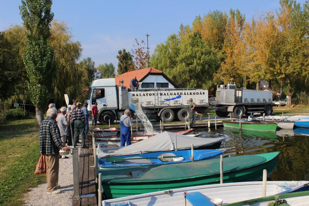 Haltelepítési beszámoló és előrejelzés