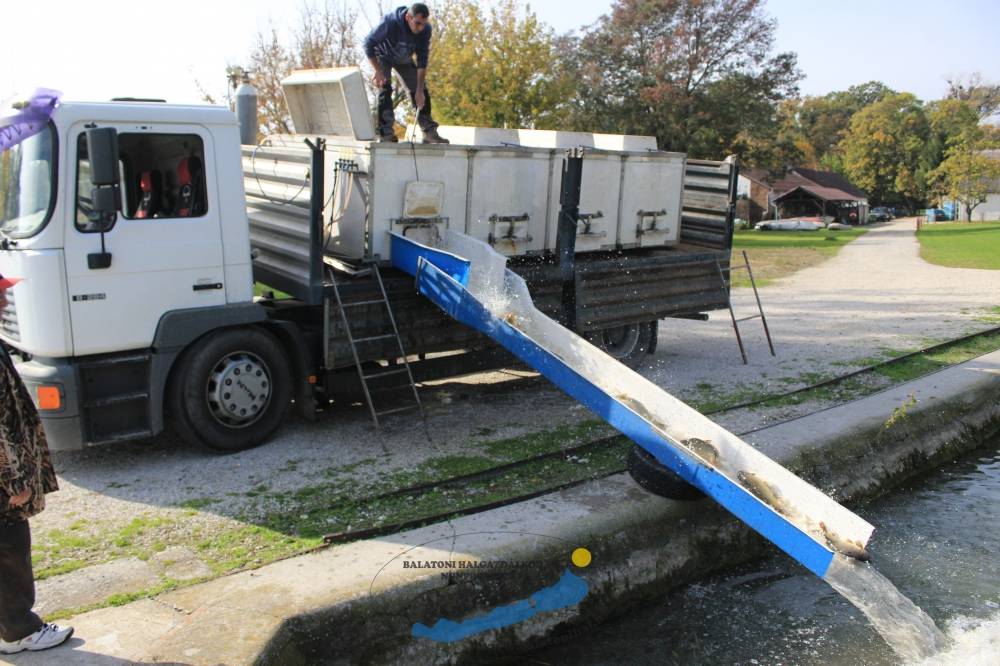 Pontytelepítési beszámoló és előrejelzés