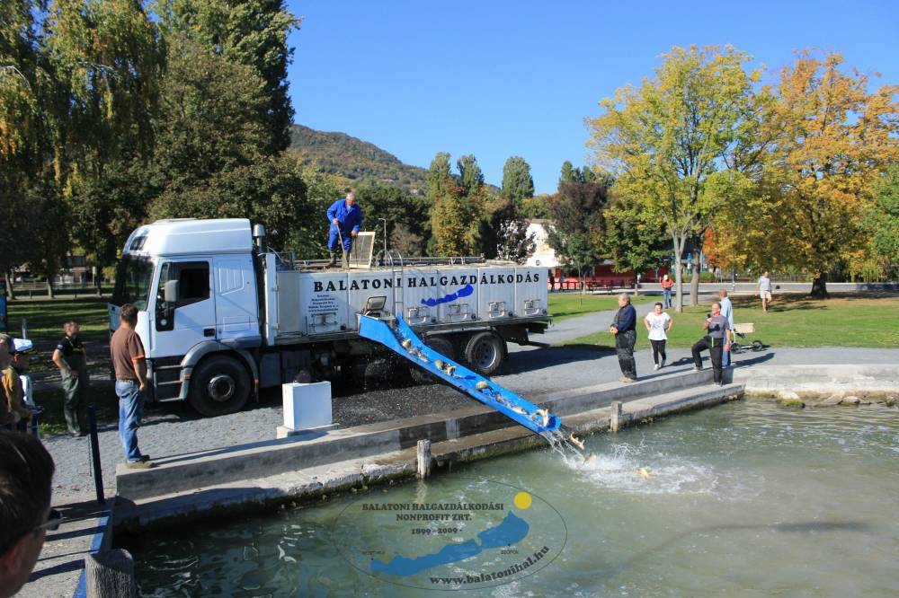 Pontytelepítési beszámoló és előrejelzés