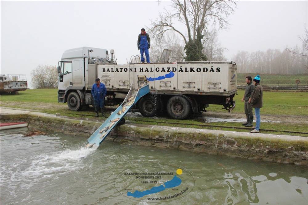 Pontytelepítési beszámoló 