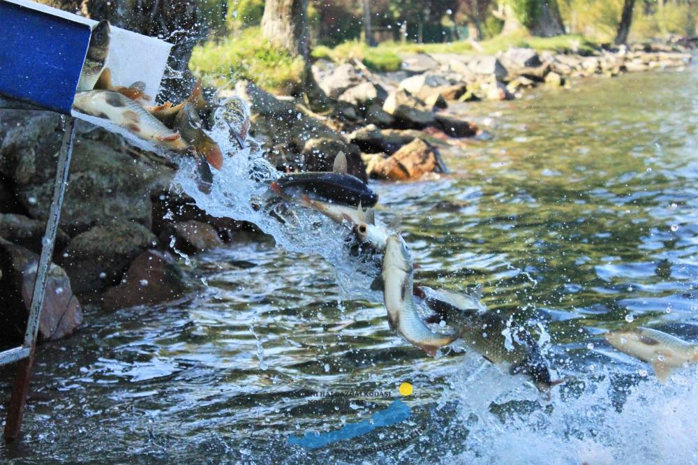 Pontytelepítési beszámoló és előrejelzés