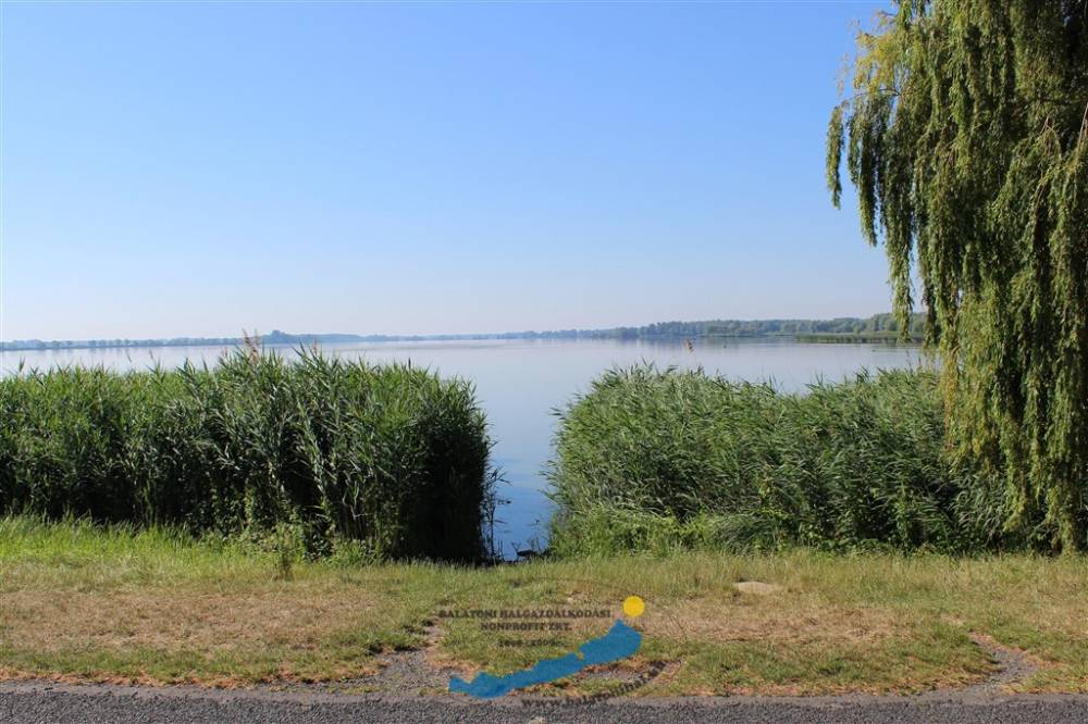 Kibővülhetnek a Kis-Balaton horgászhelyei