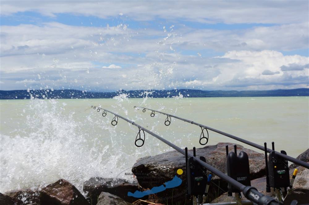 A horgászjegy árak és a betelepített halak mennyisége is emelkedik 2020-ban a Balatonon