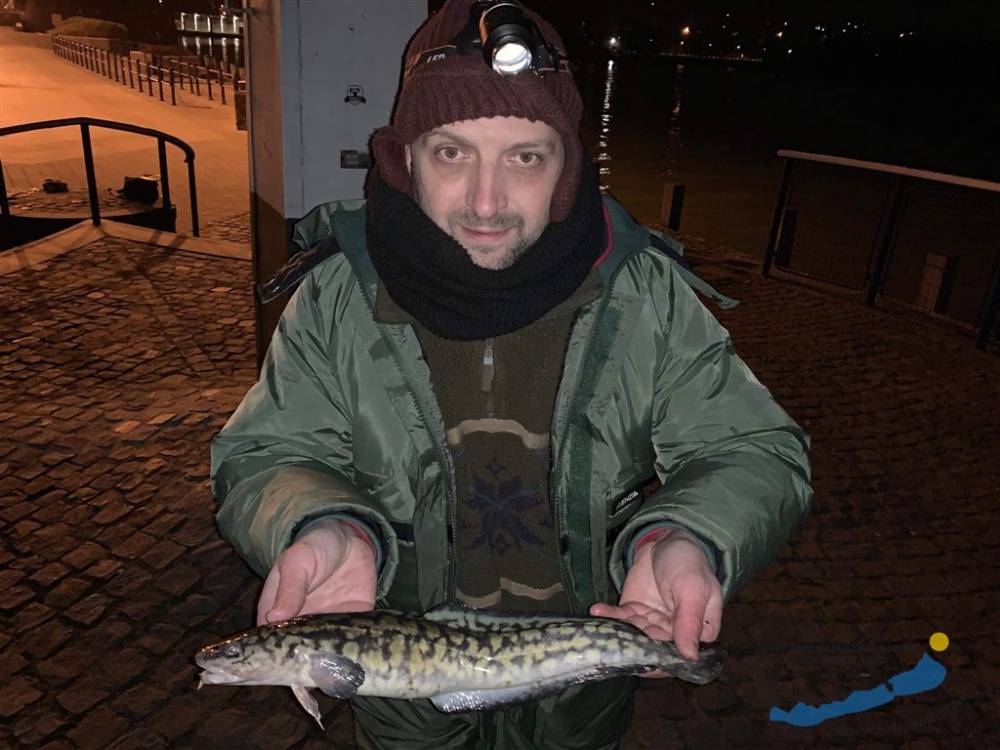 MENYHAL FOGÁS BADACSONYBAN!